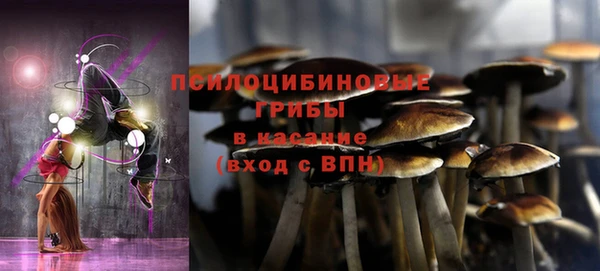 дурь Верхний Тагил