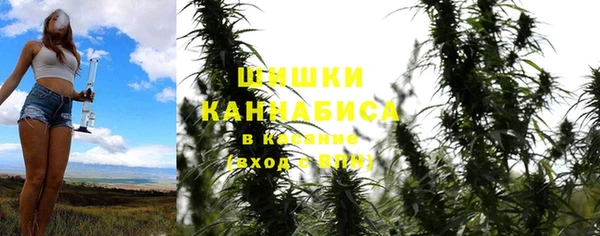 прущая мука Верея