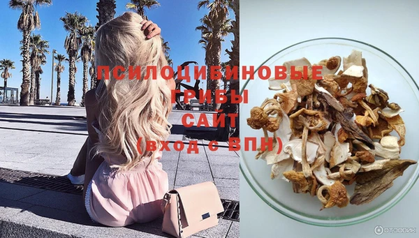 дурь Верхний Тагил