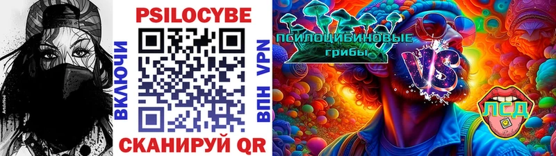 как найти закладки  Ижевск  Псилоцибиновые грибы Psilocybe 